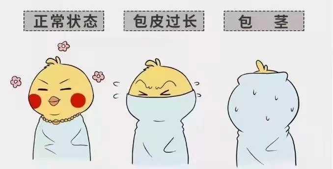 齐齐哈尔包皮包茎线上买球官网(中国)官方网站

